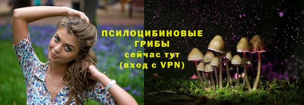 каннабис Абинск
